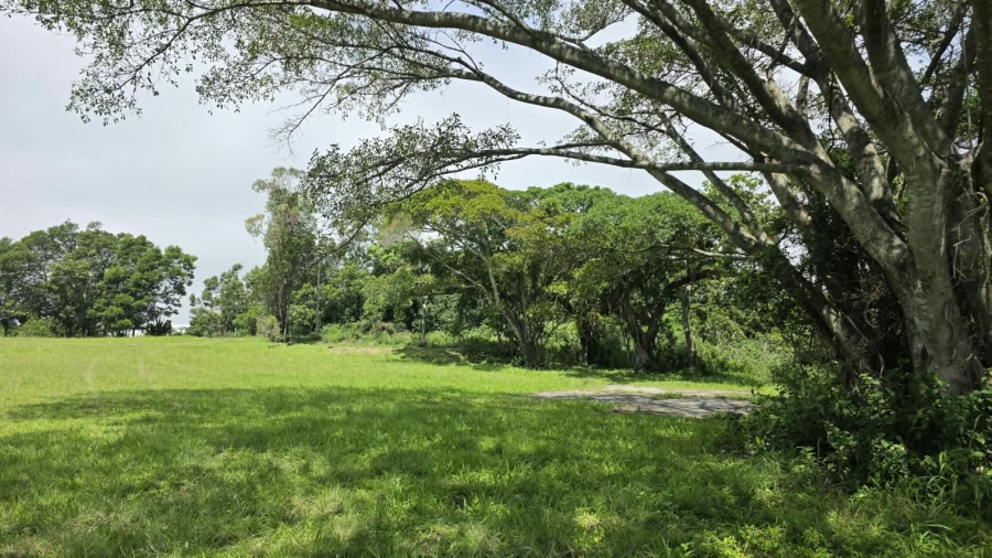 4 Bedroom Property for Sale in Summerpride Eastern Cape